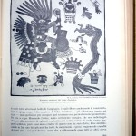 Giotto Dainelli, La conquista della Terra. Storia delle esplorazioni, Ed. UTET, 1950