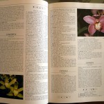 Kenneth A. Beckett, La grande enciclopedia delle piante ornamentali, Ed. Idealibri, 1990