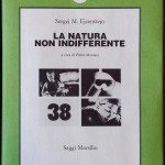 Sergej M. Ejzenštejn, La natura non indifferente, Ed. Marsilio, 1992