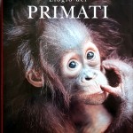 Steve Bloom, Elogio dei primati, Ed. Könemann, 1999