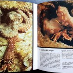 Jacques-Yves Cousteau, Gli Oceani: alla scoperta del pianeta acqua, Ed. F.lli Fabbri, 1973