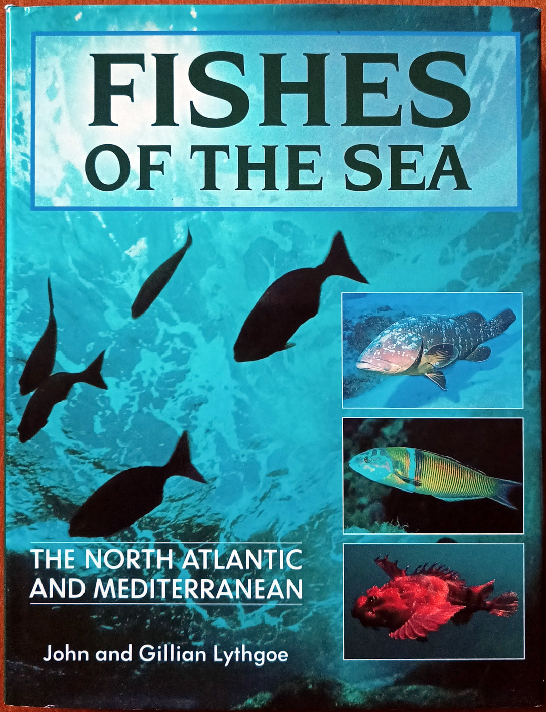 John e Gillian Lythgoe, Fishes of the Sea. The North Atlantic and Mediterranean, Ed. Blandford, 1991