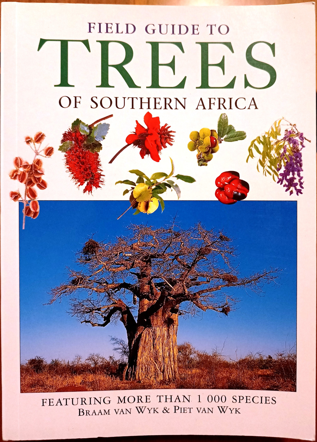 Braam & Piet van Wyk, Field Guide to Trees of South Africa, Ed. Struik Publishers, 1997