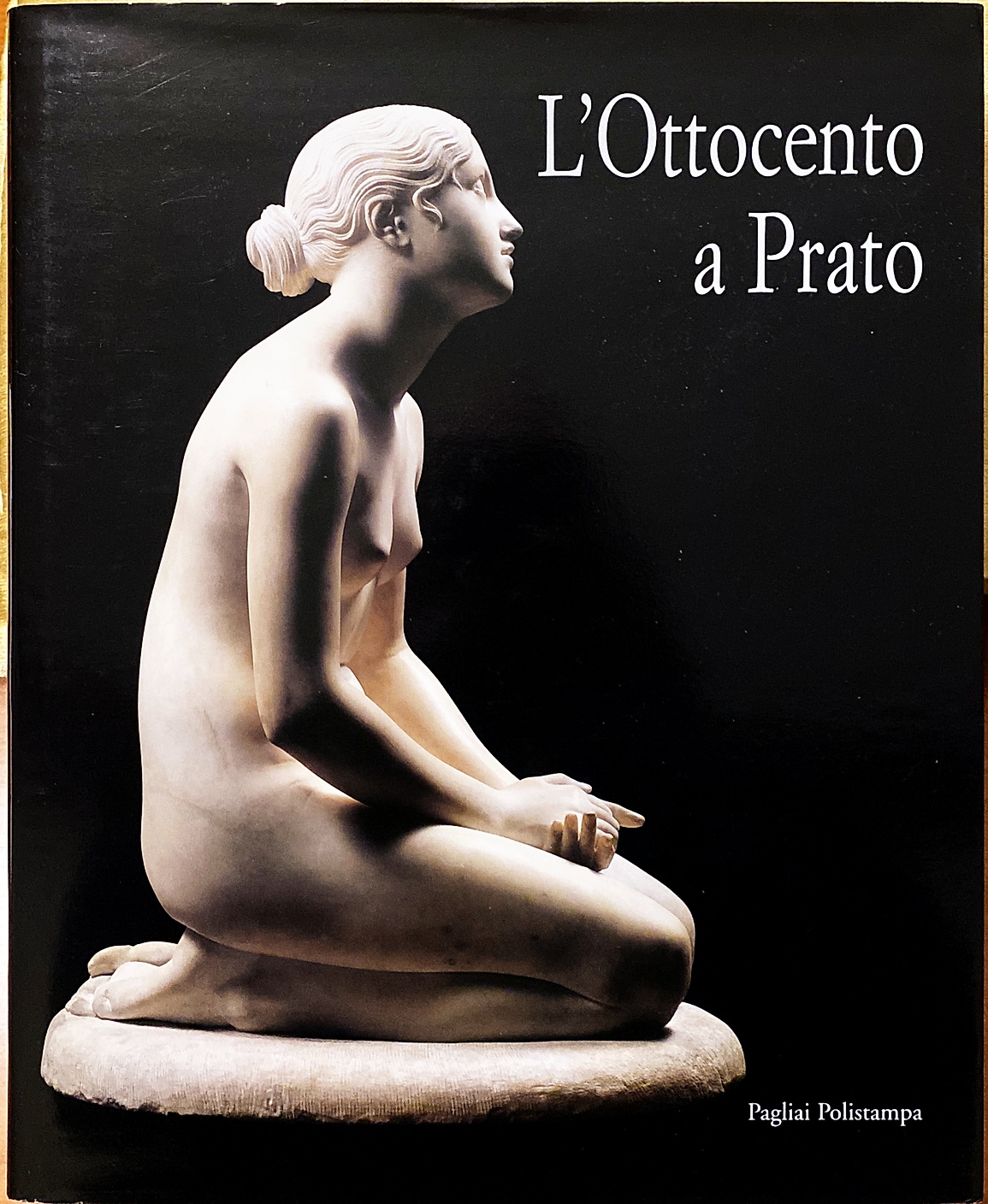 Renzo Fantappié (a cura di), L’Ottocento a Prato, Ed. Pagliai Polistampa, 2000